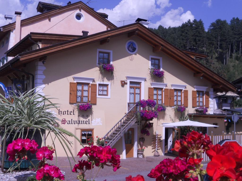 Hotel Garni Salvanel カヴァレーゼ エクステリア 写真